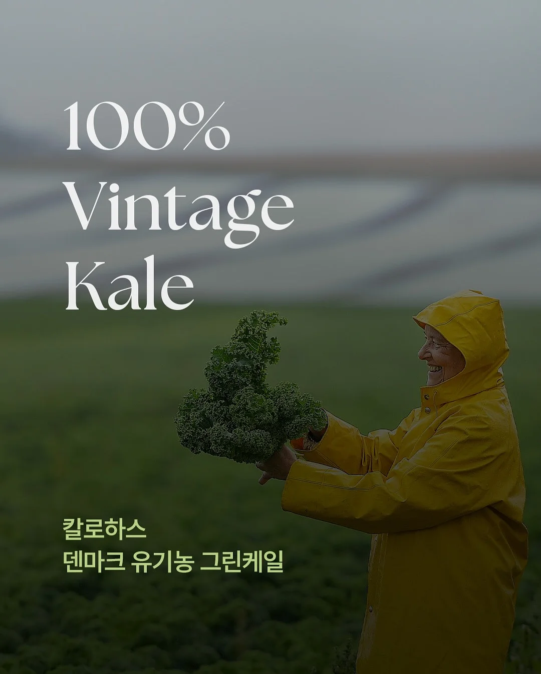 엠부띠끄 논슬립 옷걸이 1