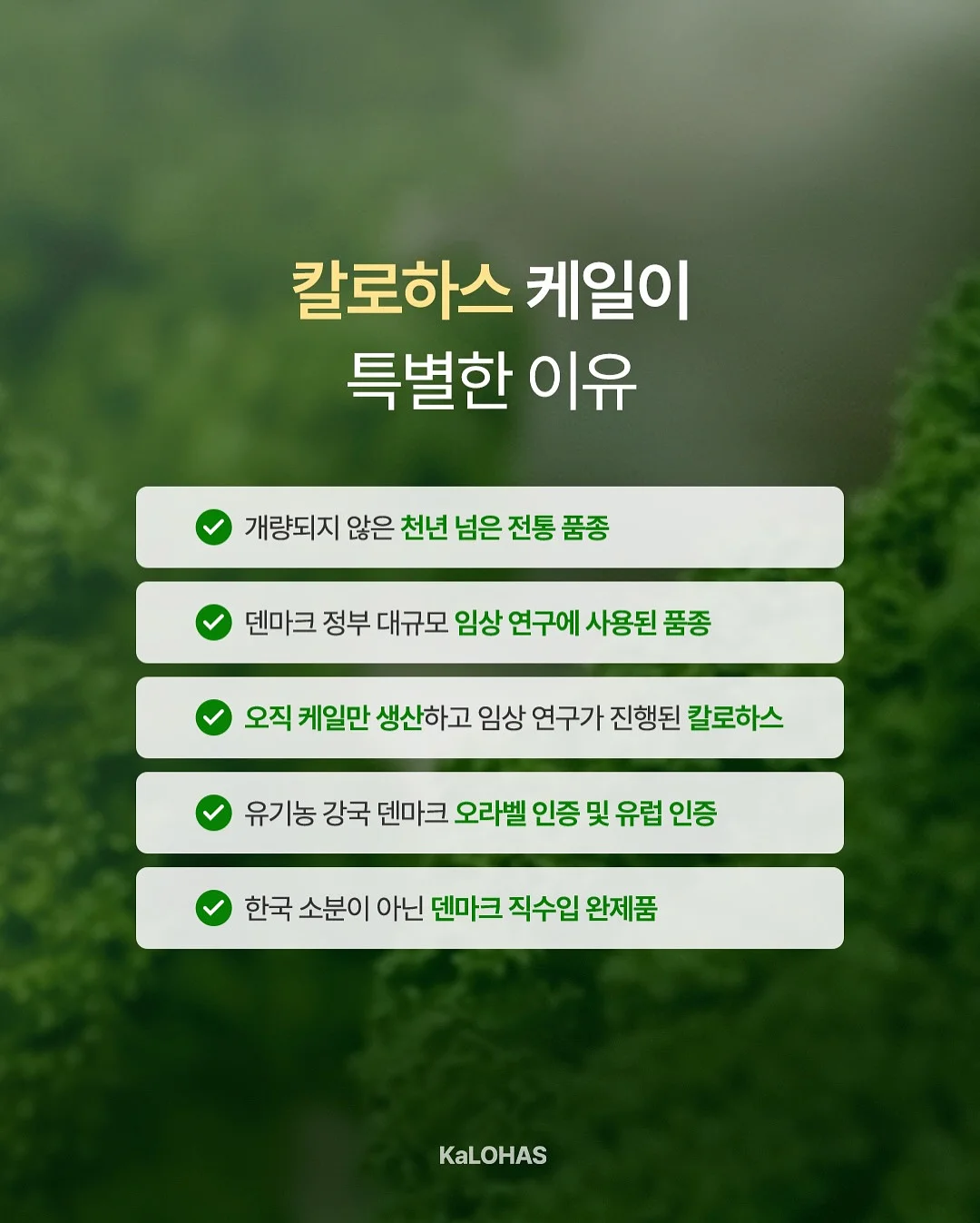 엠부띠끄 논슬립 옷걸이 3