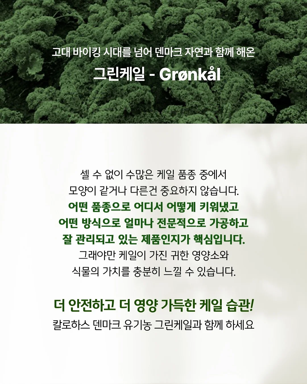 엠부띠끄 논슬립 옷걸이 4