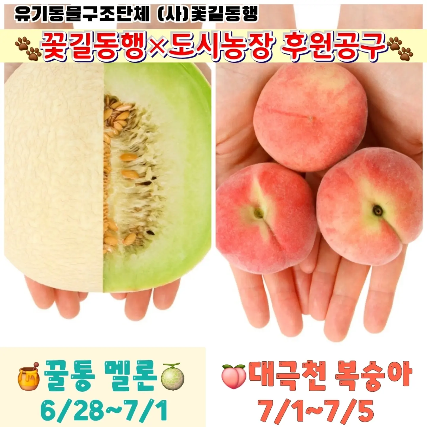 페페슈즈 1