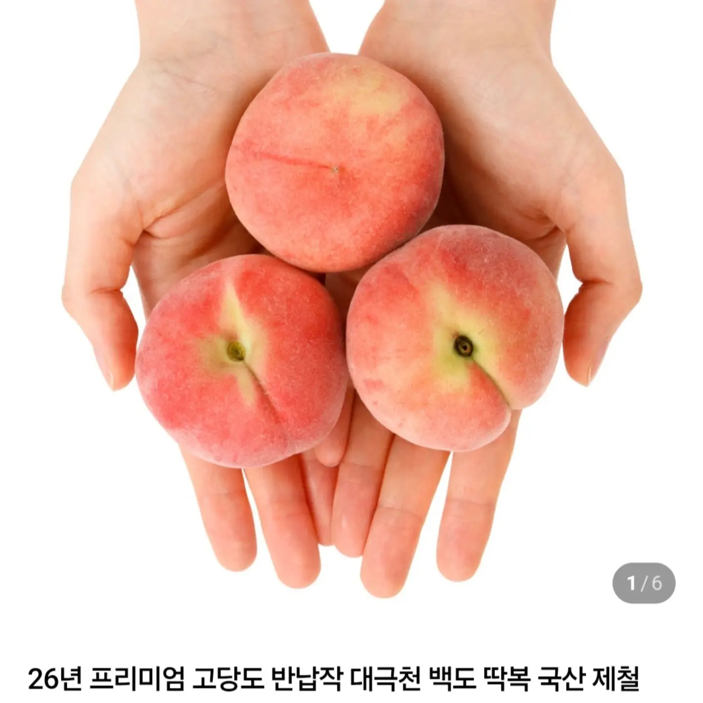 페페슈즈 3