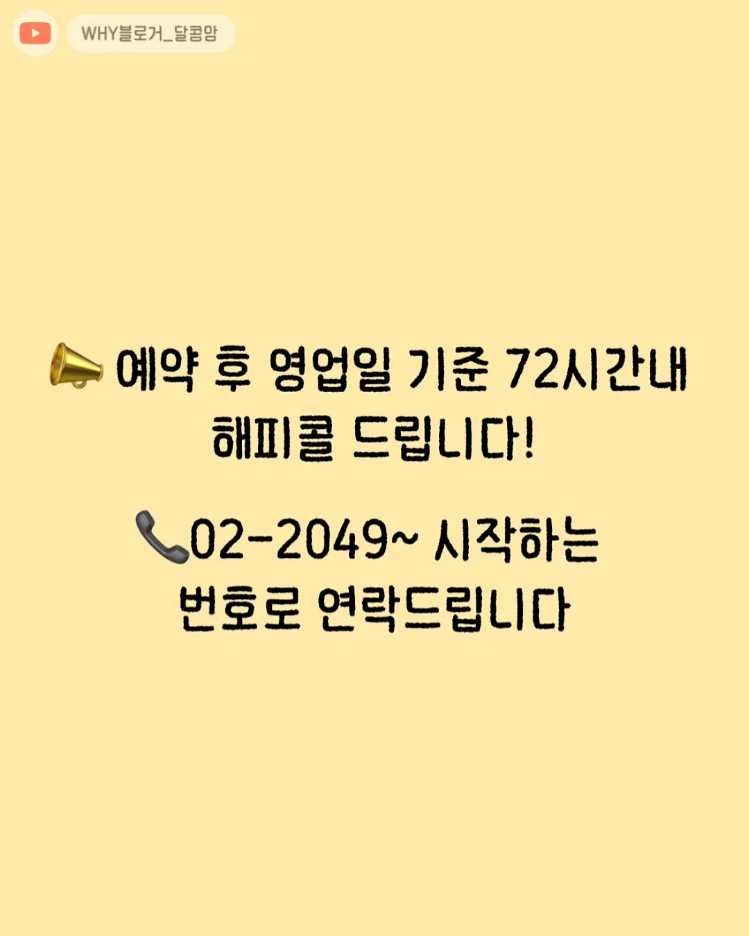 쌀찜 카스테라 + 바람떡 + 화과자 조합 8