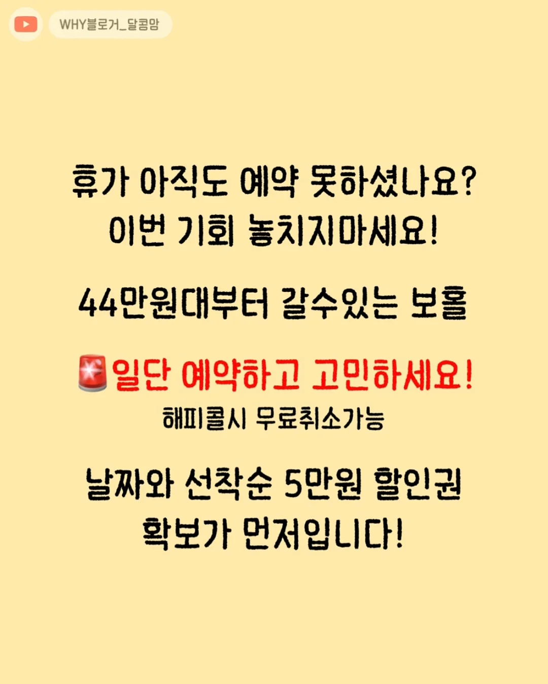 쌀찜 카스테라 + 바람떡 + 화과자 조합 9