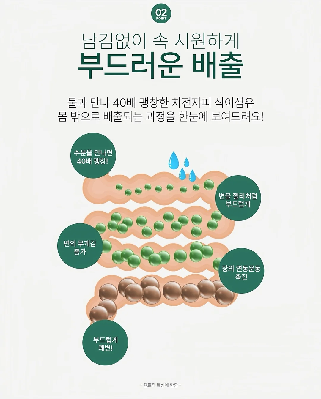 베베드피노 12