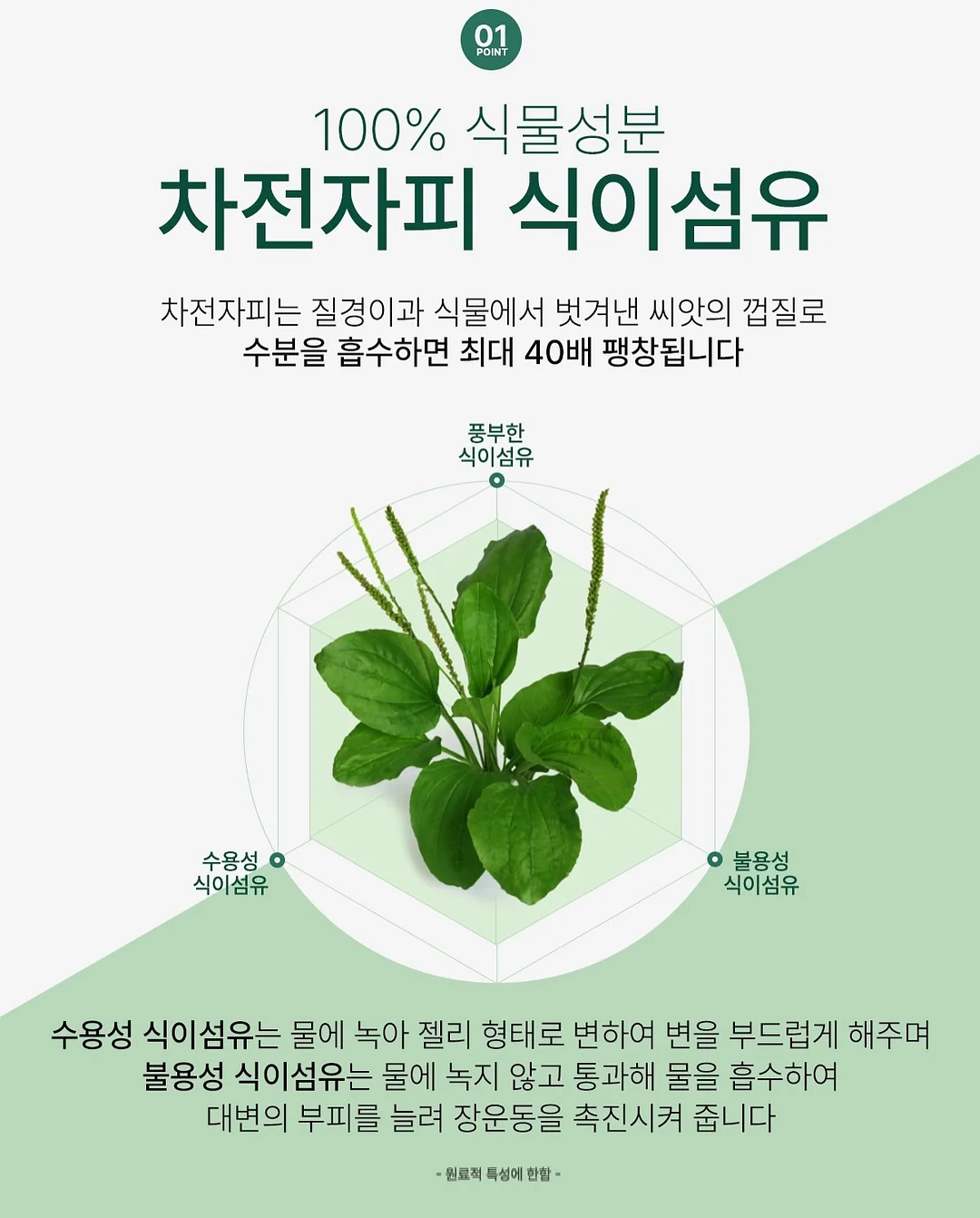 베베드피노 10