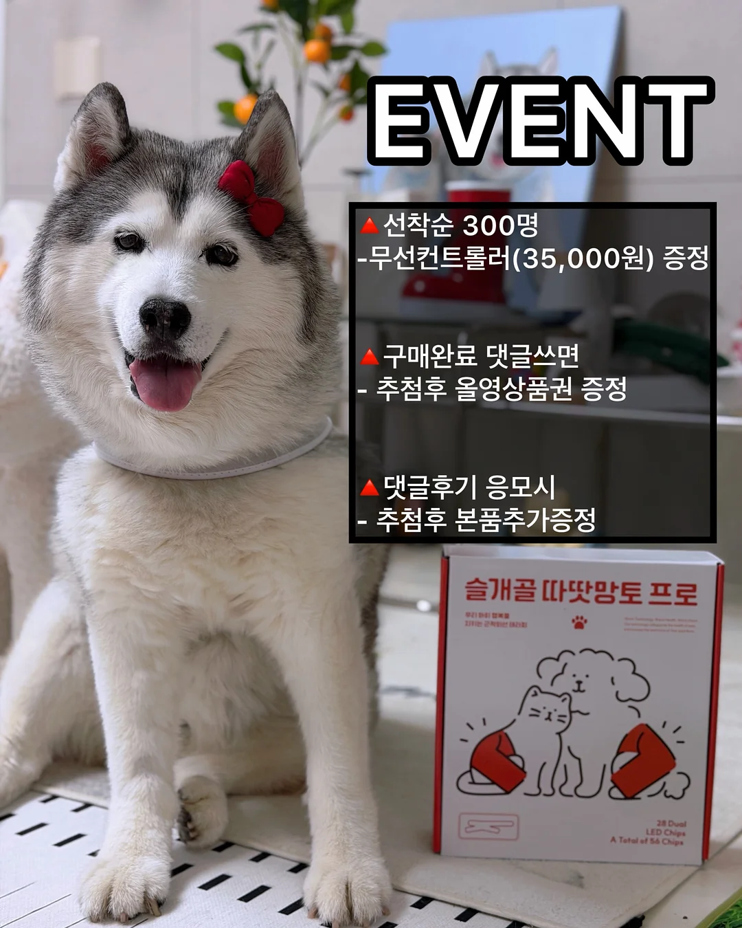 파닉스 놀이법 수업 3