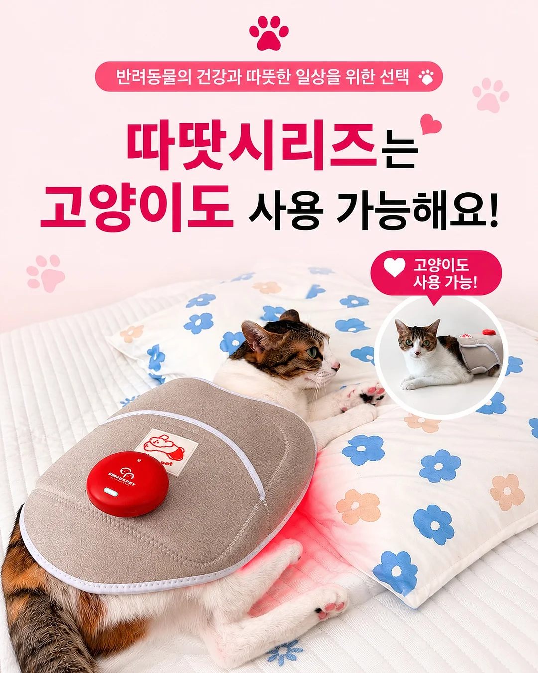 파닉스 놀이법 수업 10