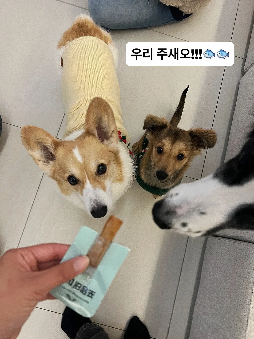 토티 긴팔 티셔츠 13