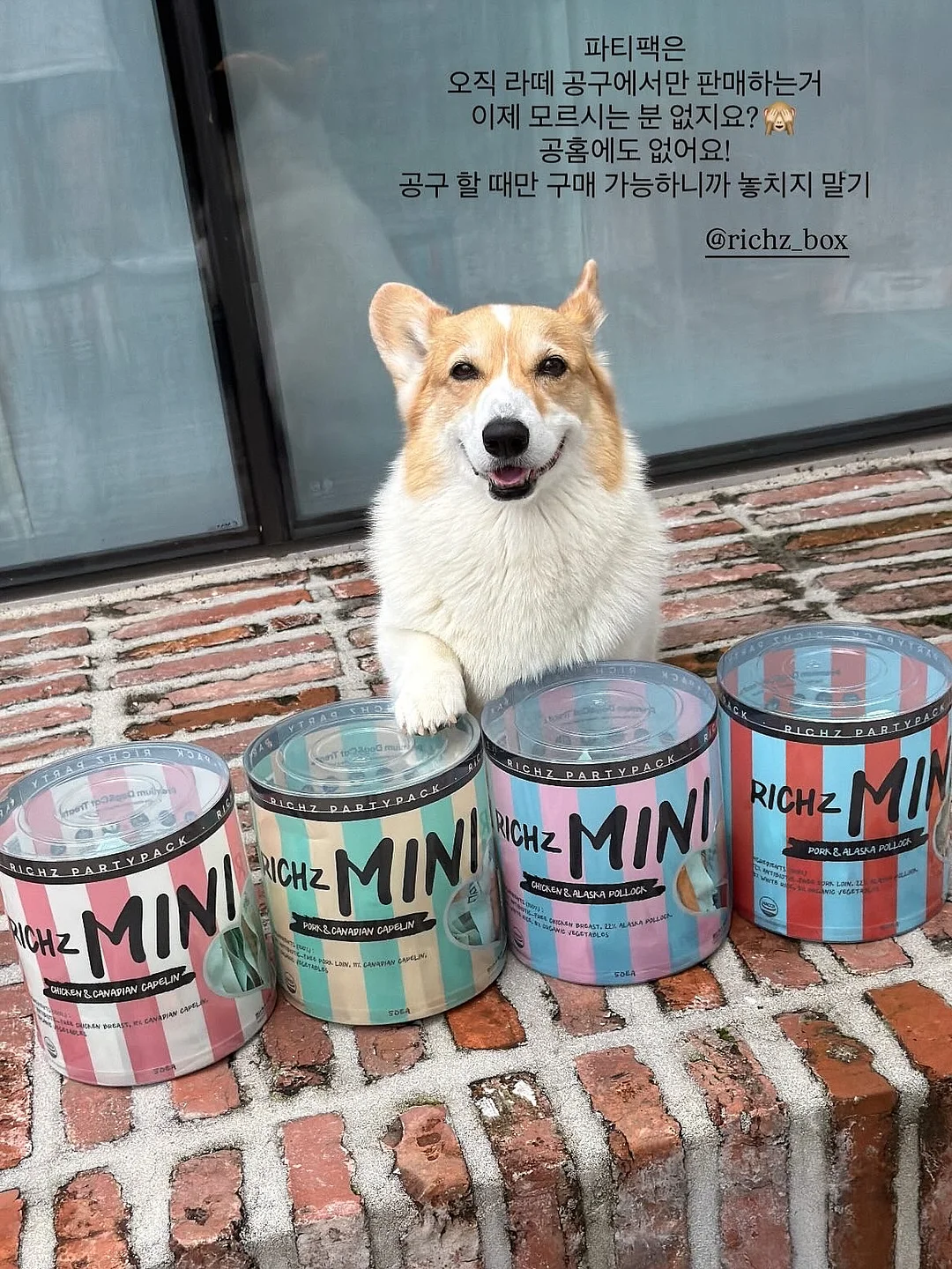 토티 긴팔 티셔츠 3