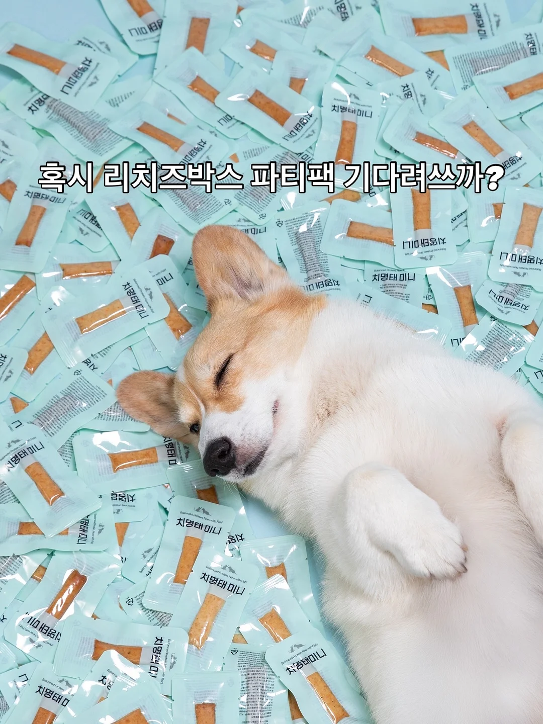 토티 긴팔 티셔츠 8