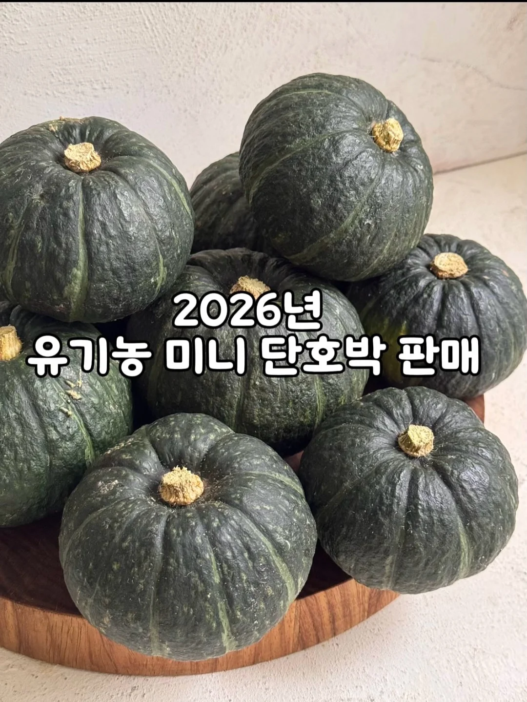선글라스 수경 1