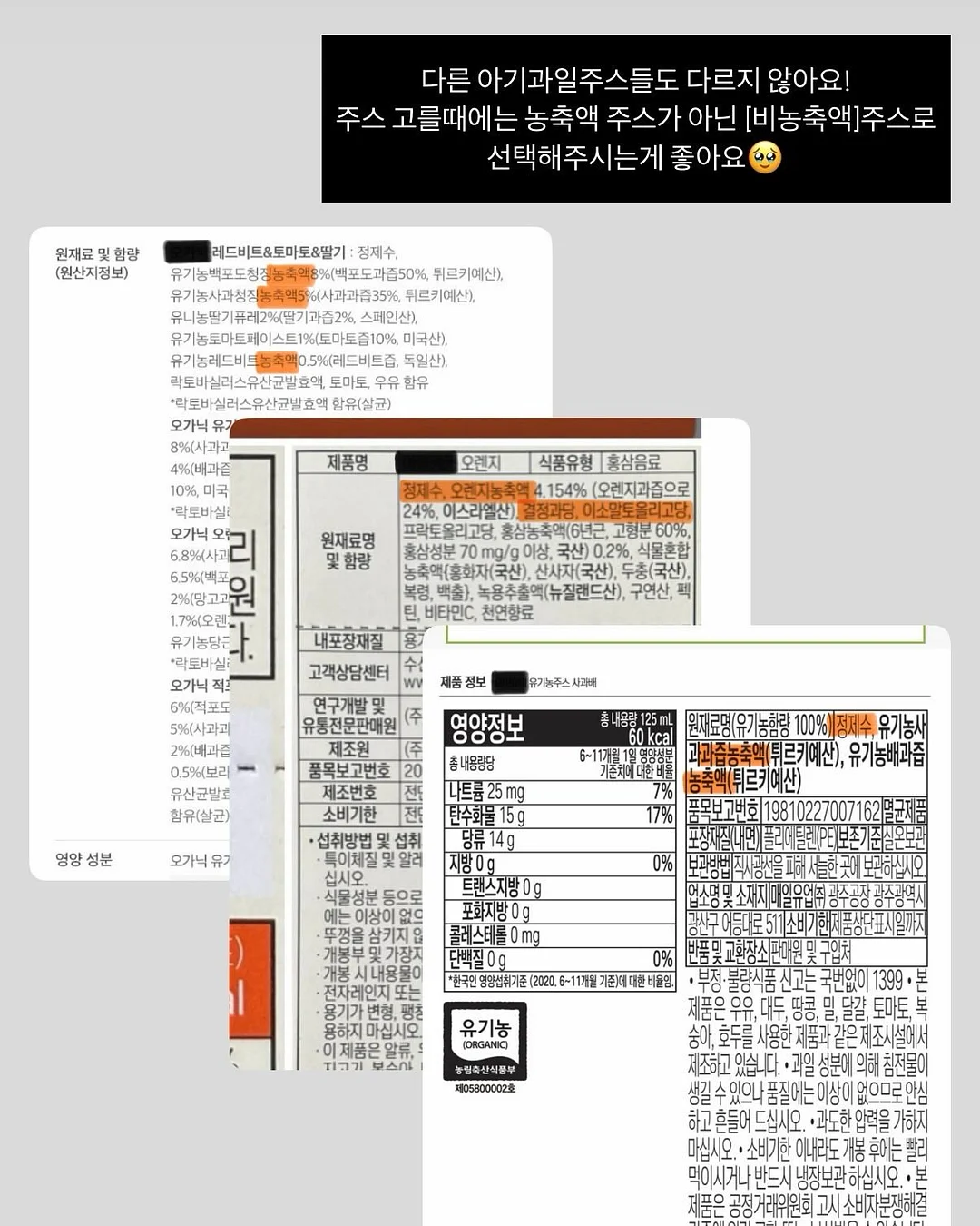 제주독채숙소 다채놀 6