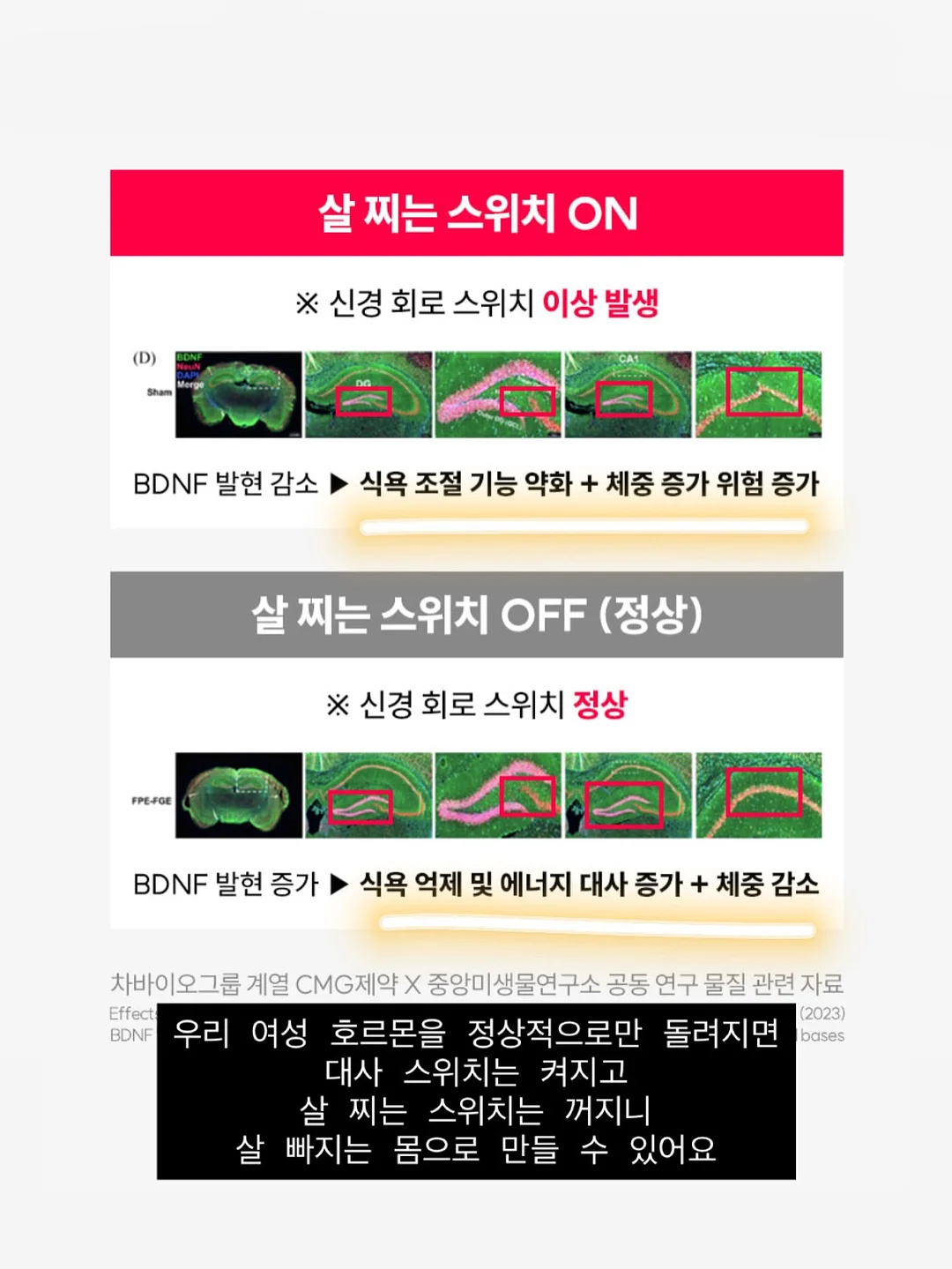 쭈글이블루머세트 14