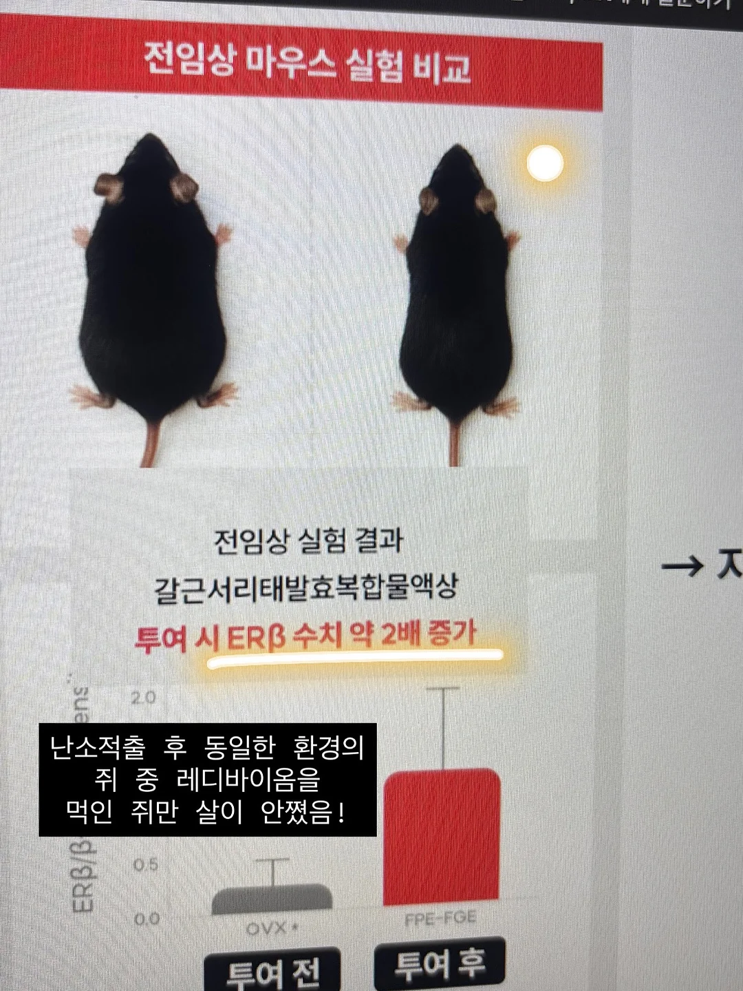 쭈글이블루머세트 15