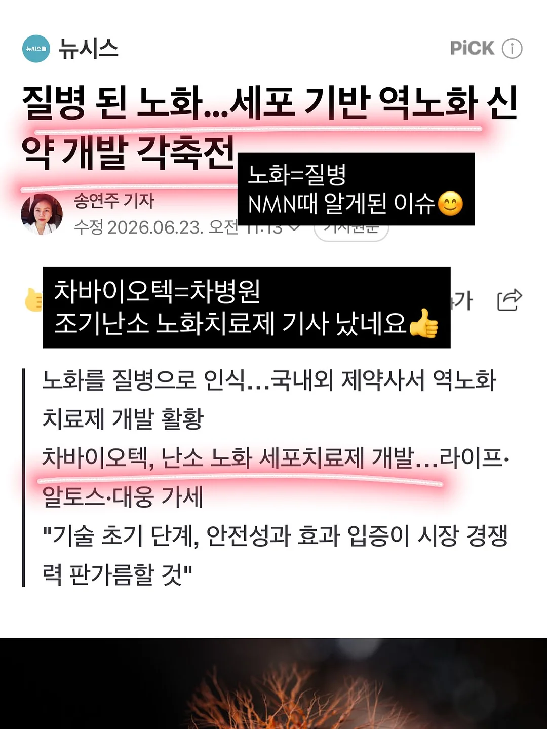 쭈글이블루머세트 9