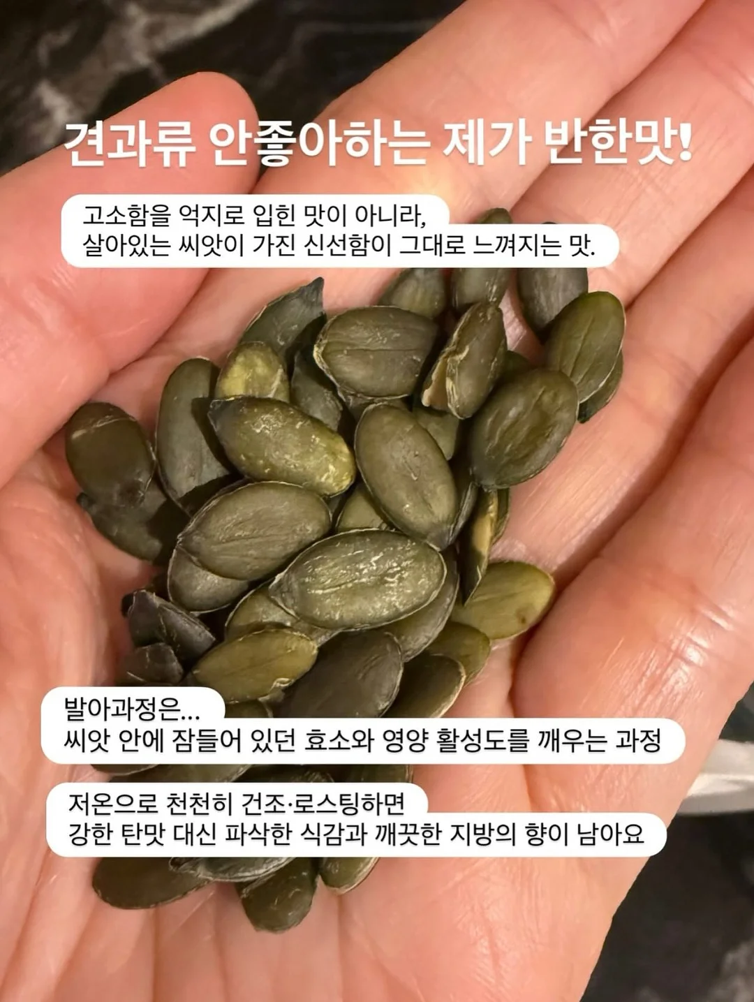 사주+심리+뇌과학 프라이빗 컨설팅 3