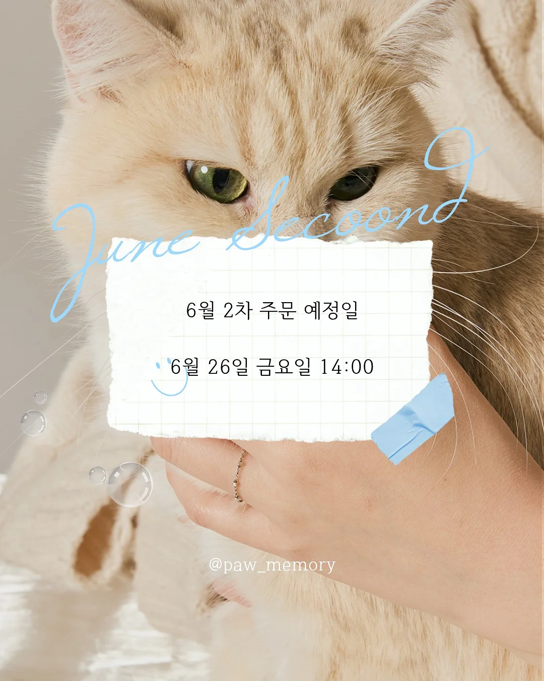 블루밍앤 어버이날 상품