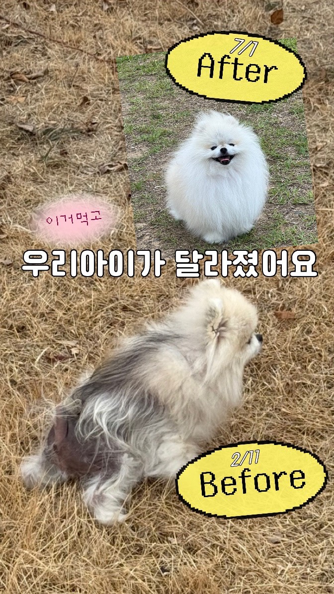 채칼