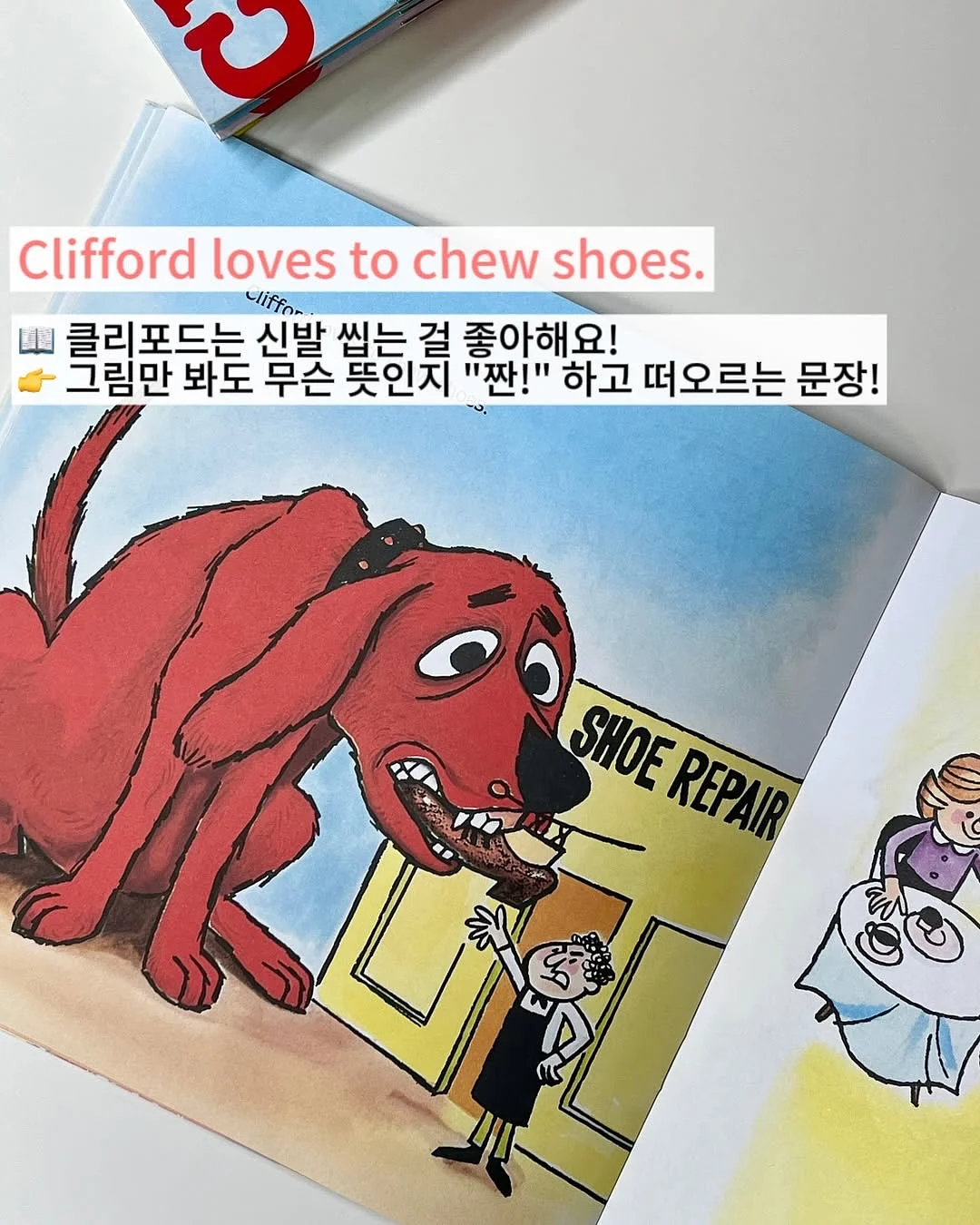 데님 원단 5