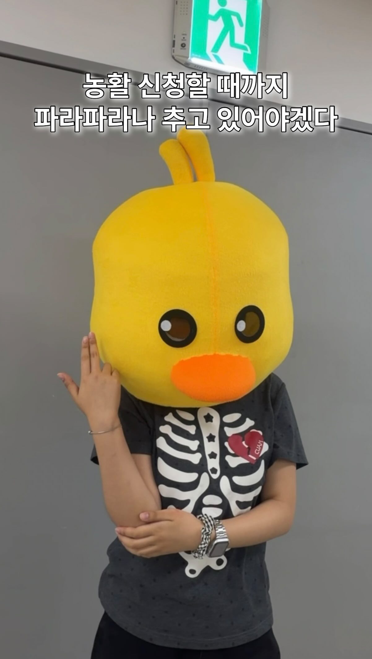 어그 슬라이드