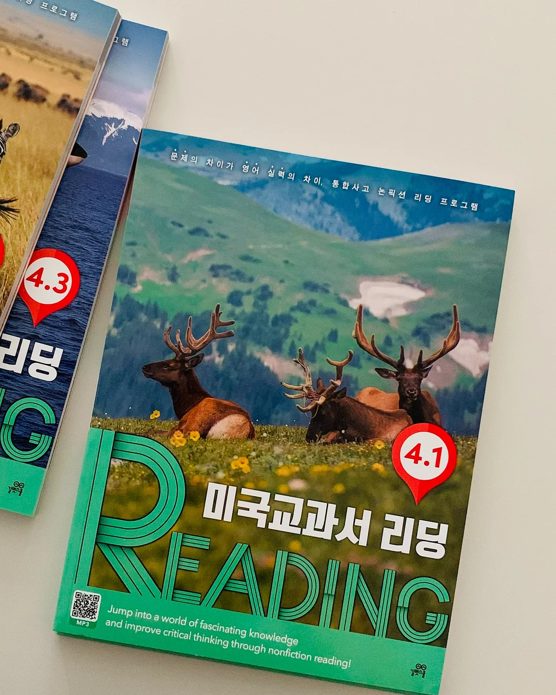 모디무드 패드 나시 7