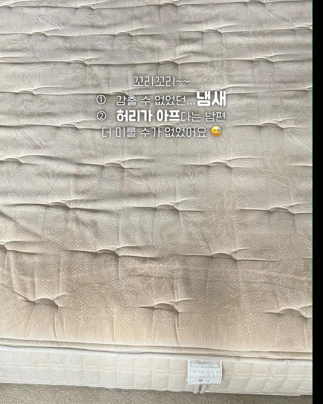 살림탐정 바닥 세정제 5