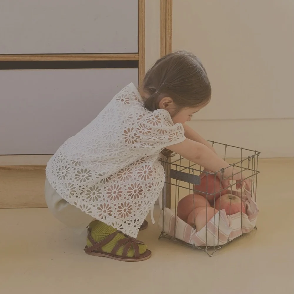 바람막이 3