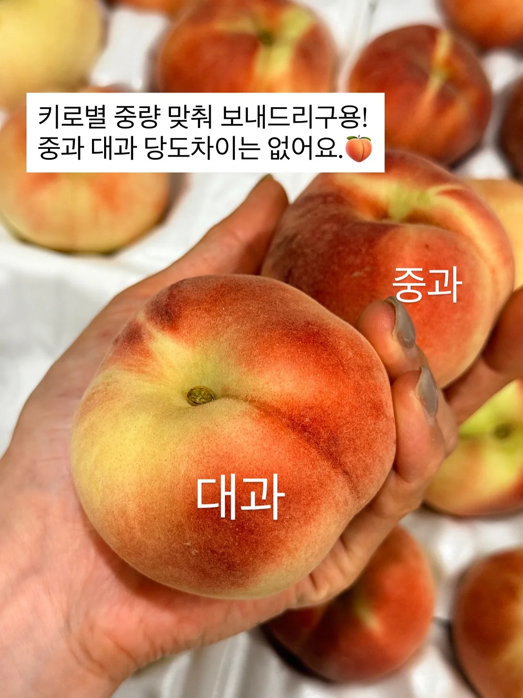 참든 레몬수 스틱100 2