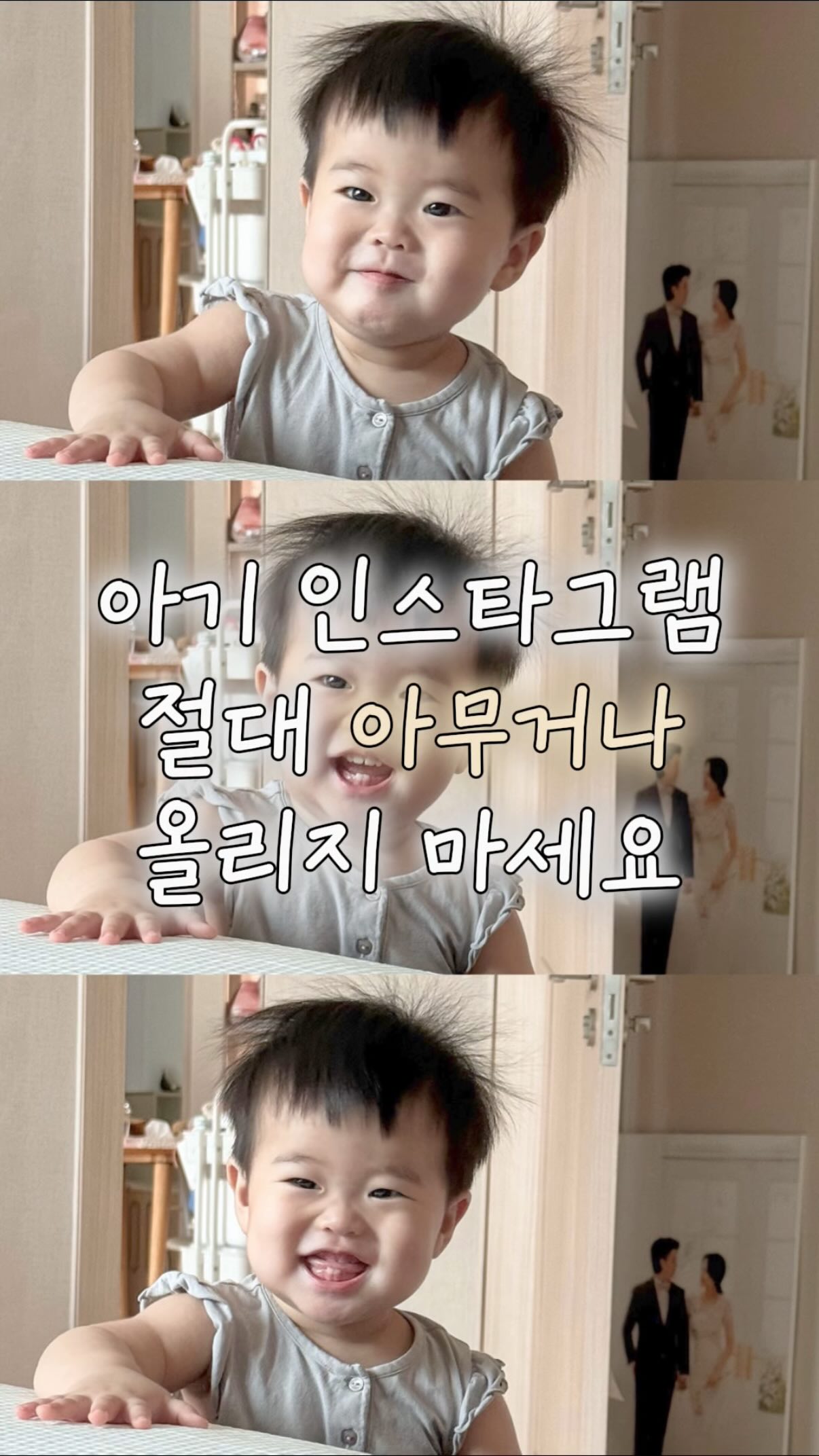 토마토 바질 발사믹