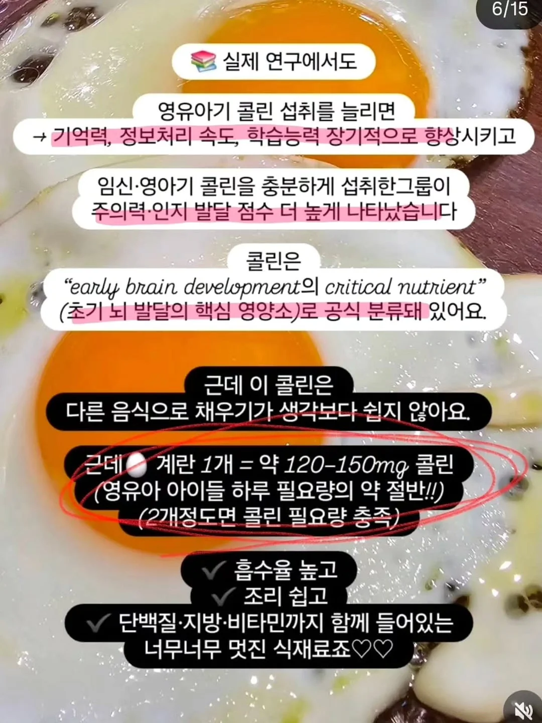 넬리 소다세제 12