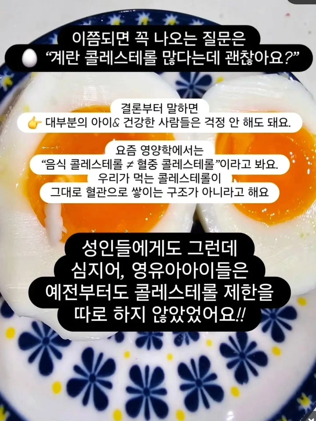 넬리 소다세제 14