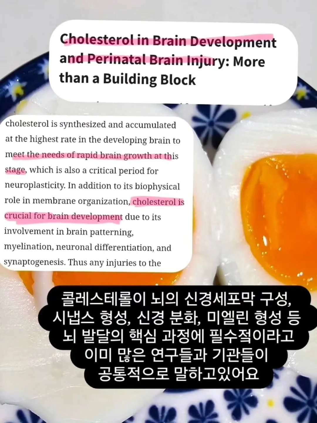 넬리 소다세제 15