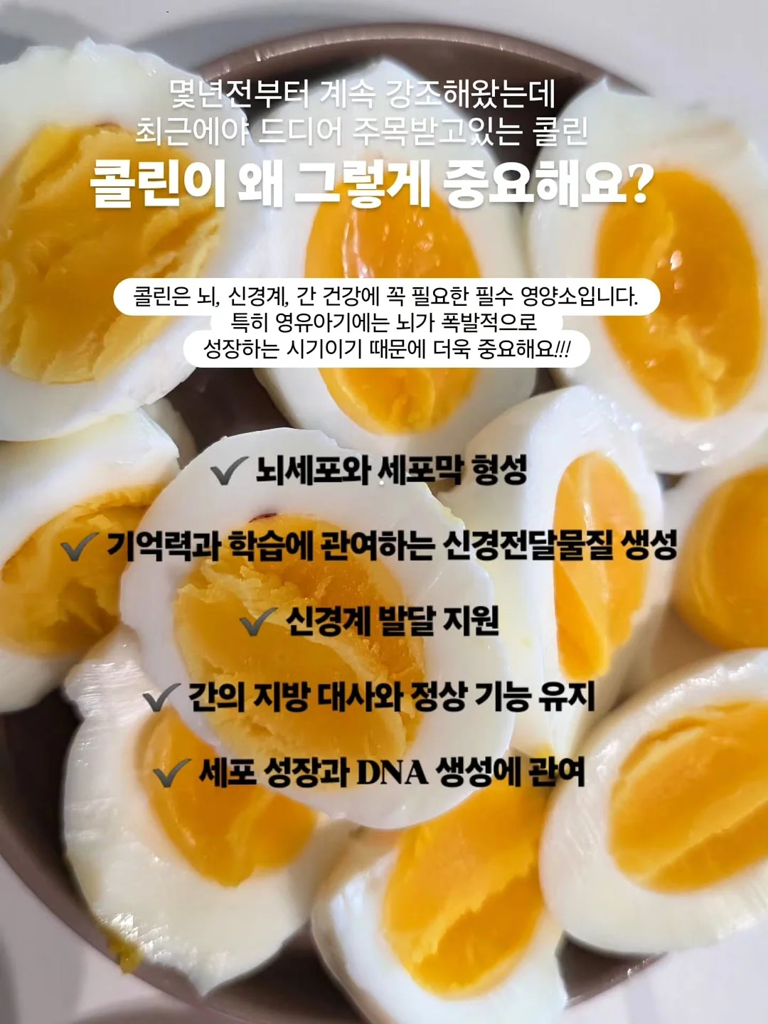 넬리 소다세제 3