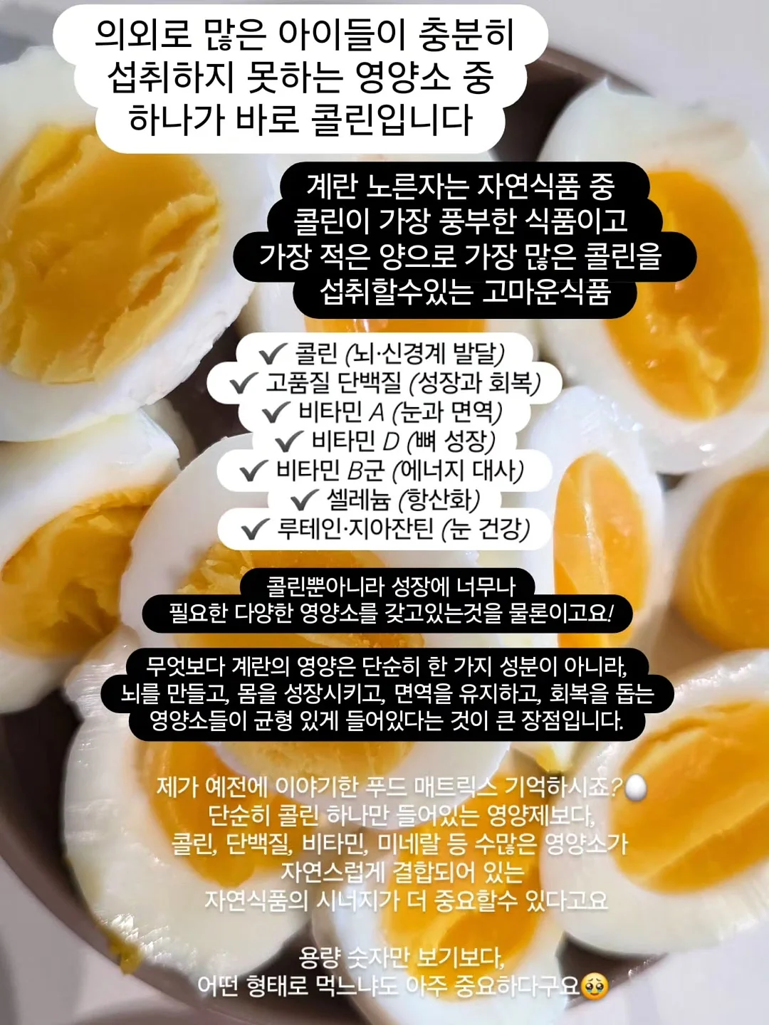 넬리 소다세제 4