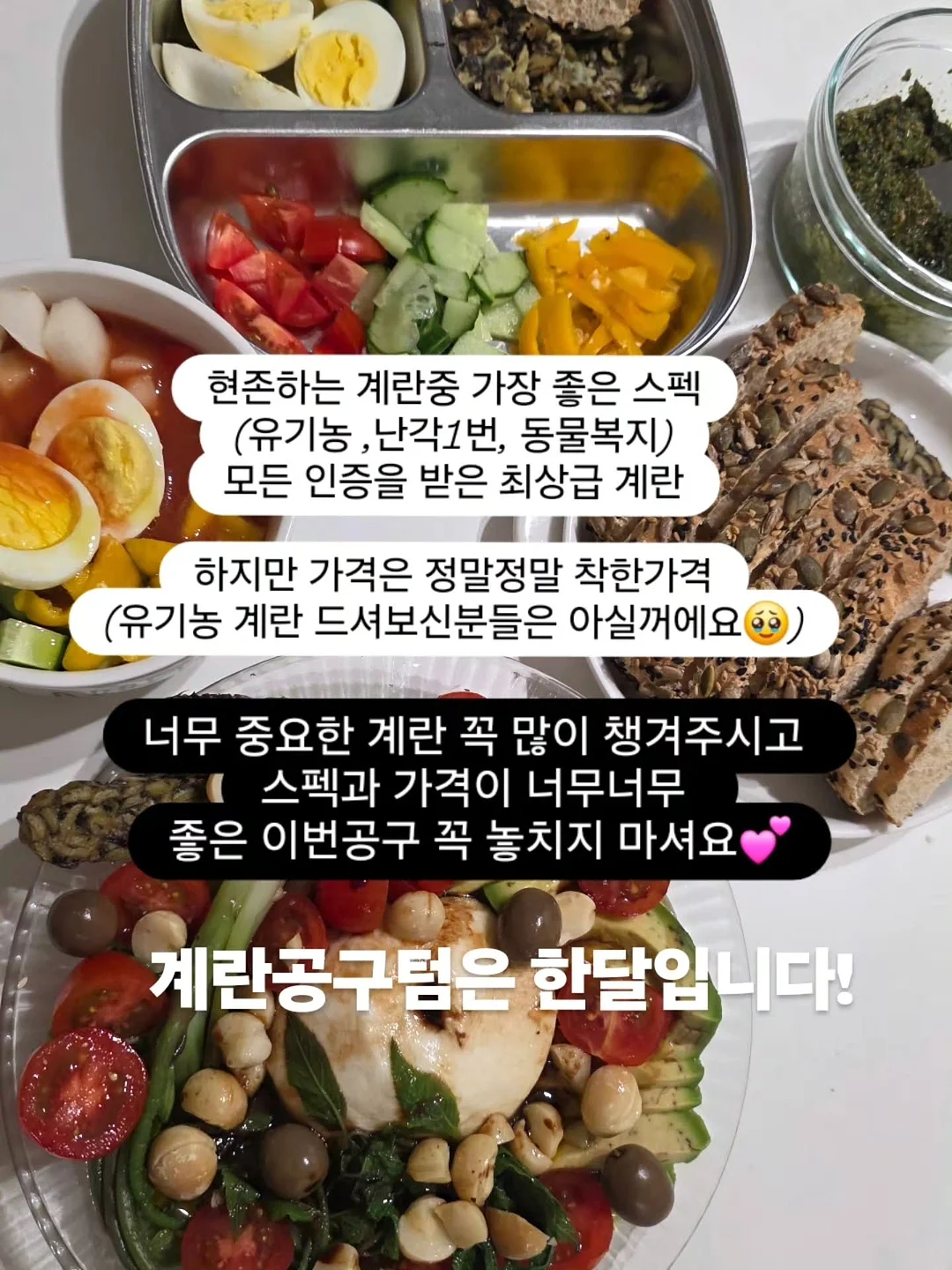 넬리 소다세제 5