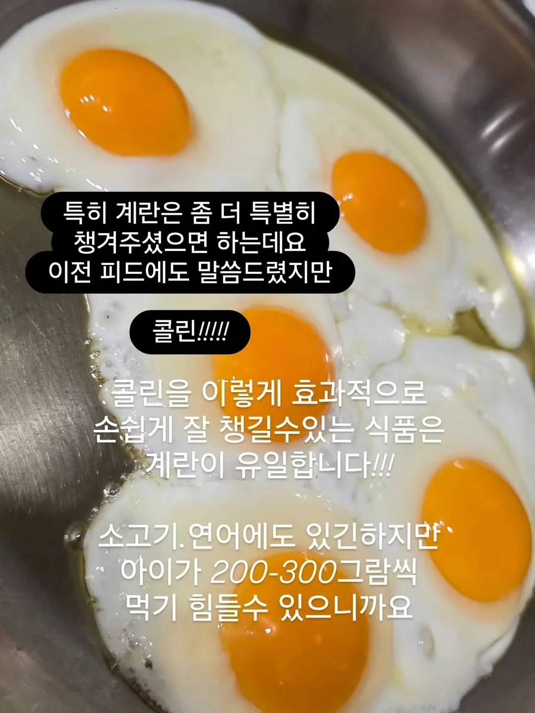 넬리 소다세제 10