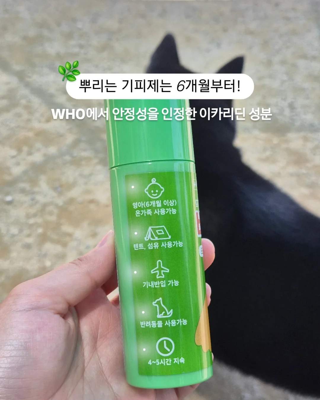 패치겔 10