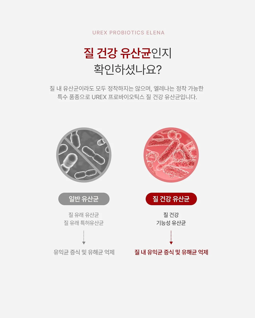 가평 베고니아 새정원 5
