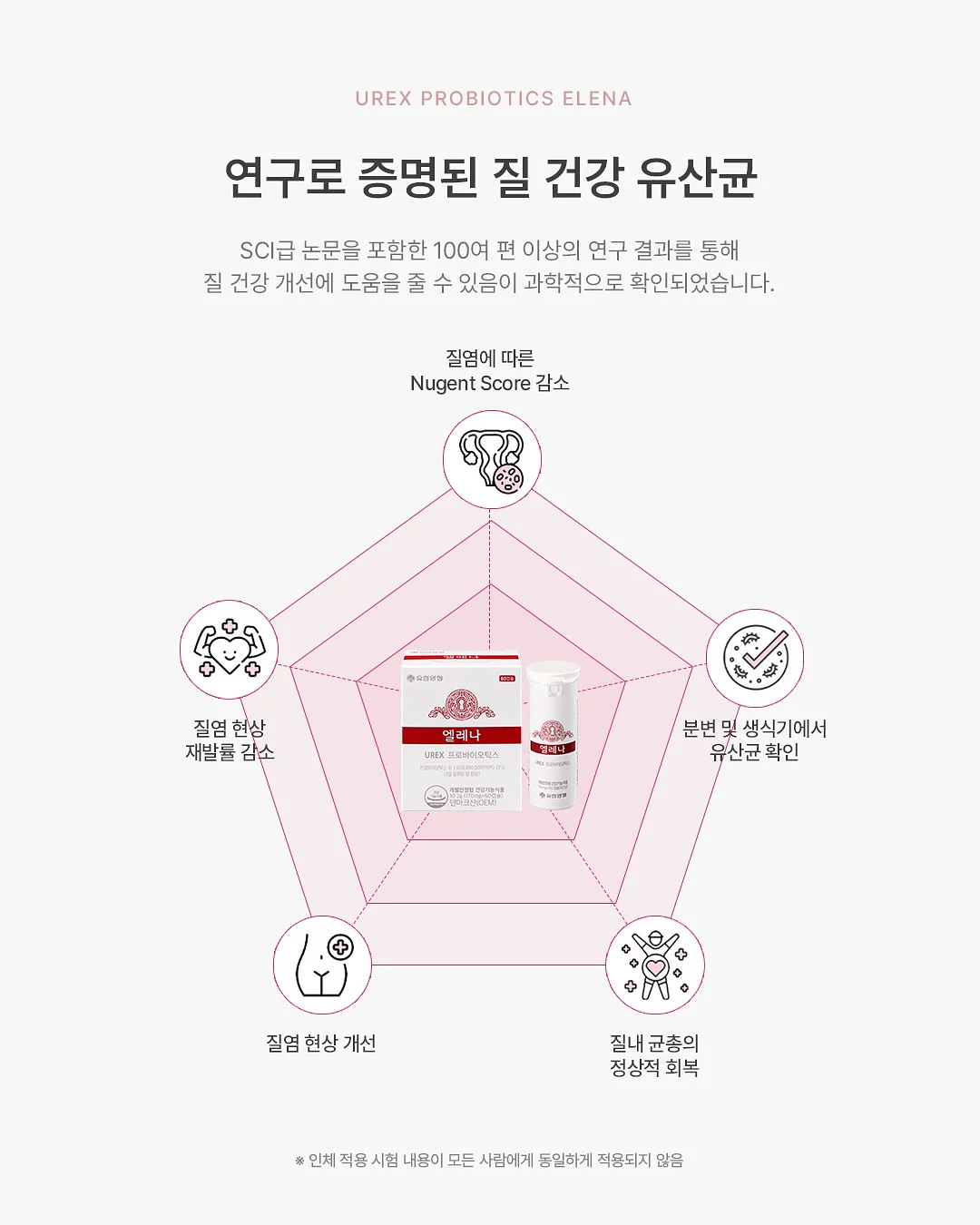 가평 베고니아 새정원 6