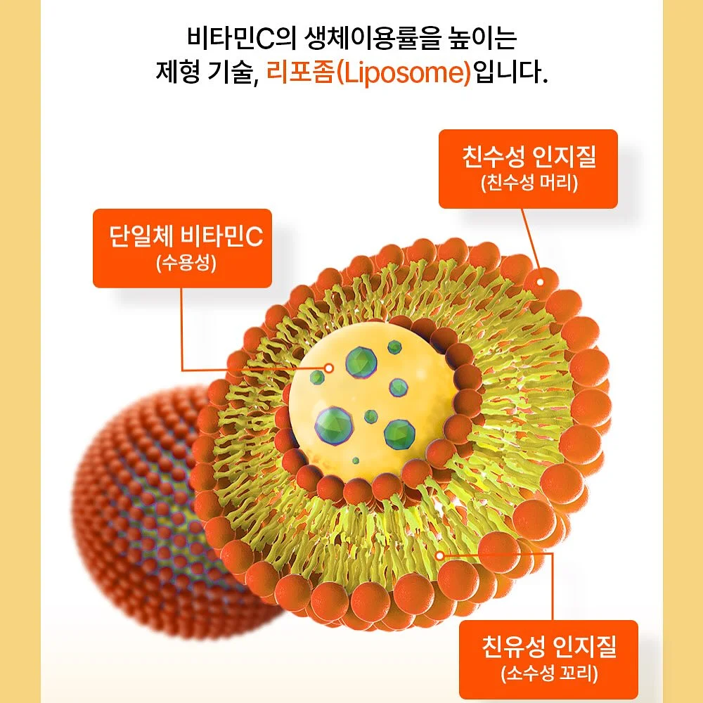 선거놀이 도안 12