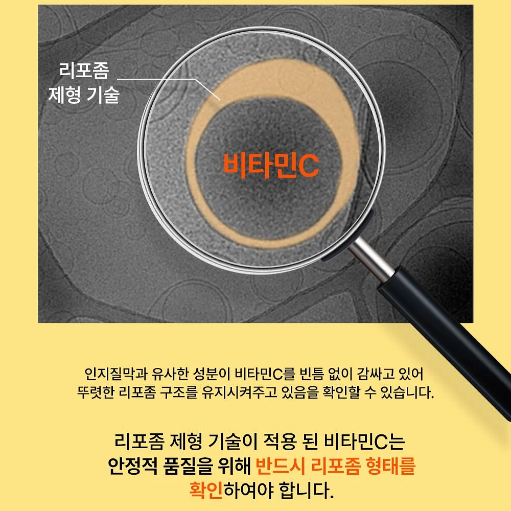 선거놀이 도안 13