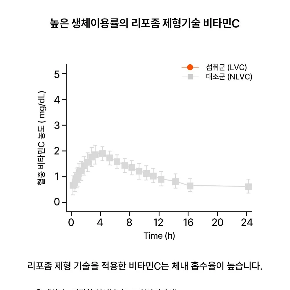 선거놀이 도안 15