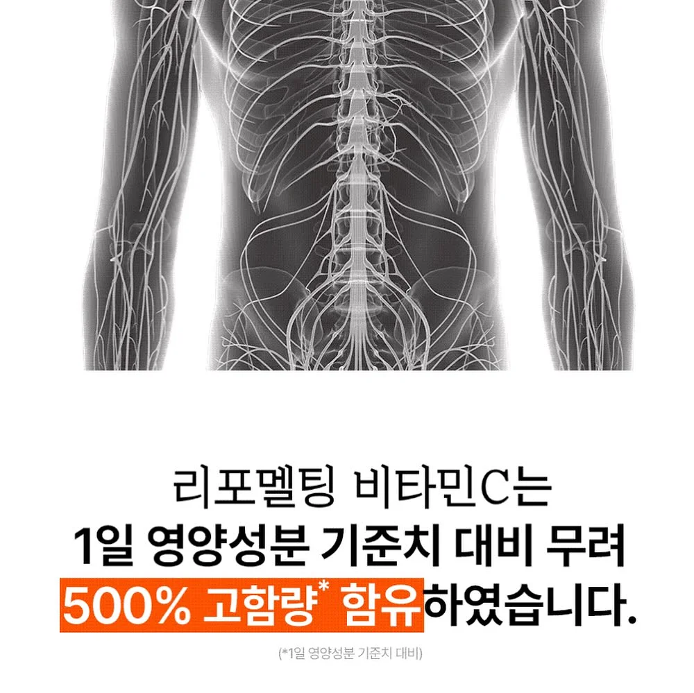 선거놀이 도안 17