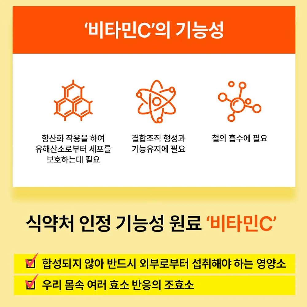 선거놀이 도안 18