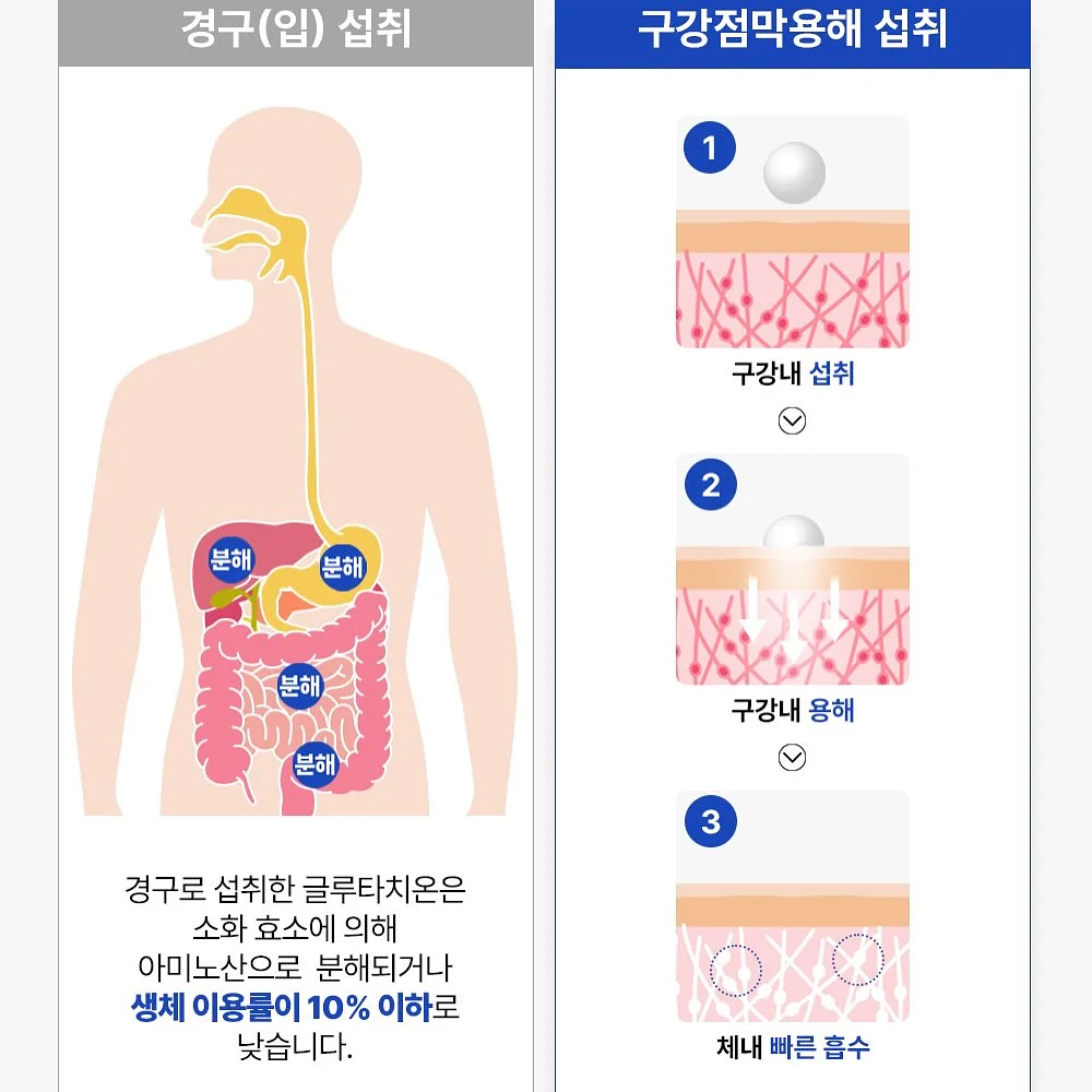 선거놀이 도안 9