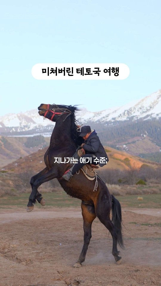 베이비빌리 산모수첩