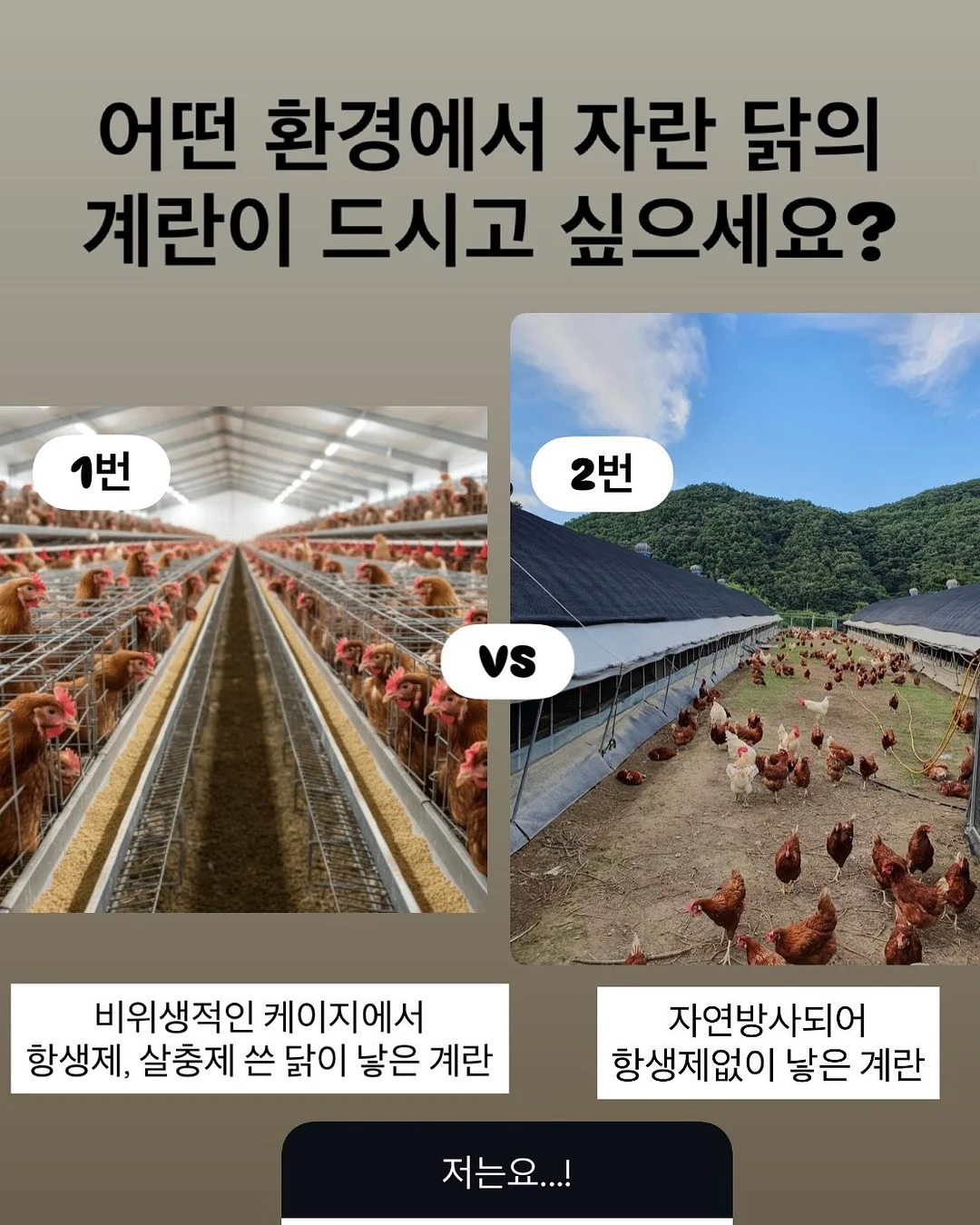 베네통키즈 여름 의류 1
