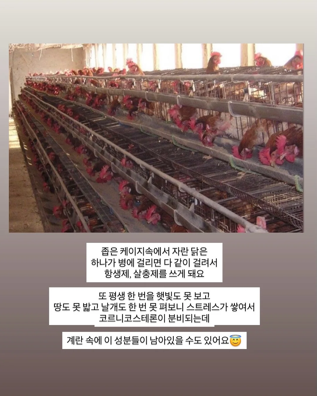 베네통키즈 여름 의류 2