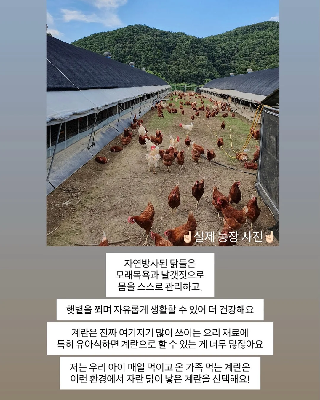 베네통키즈 여름 의류 3