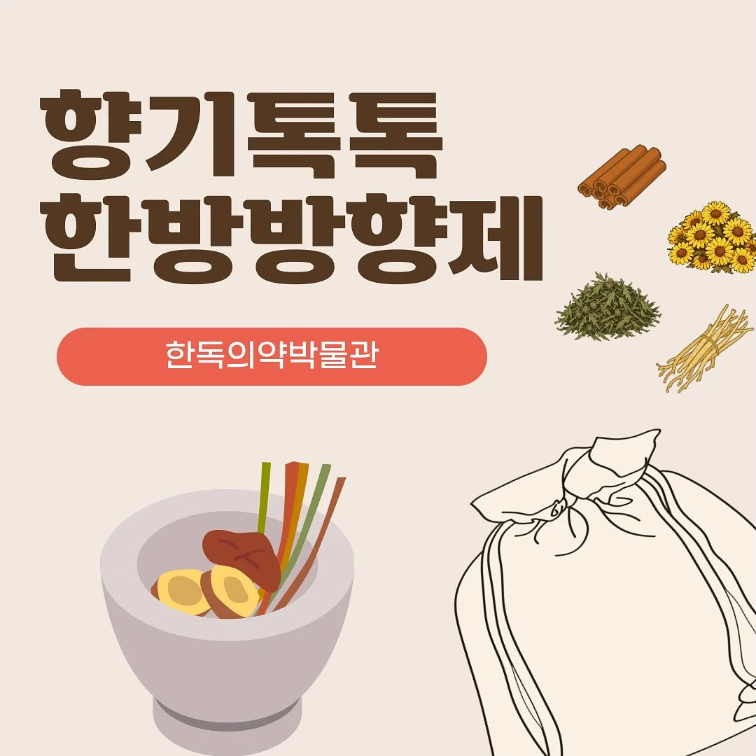 도화 쿠션 5